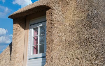 Boston Long Hedges thatch roof disadvantages