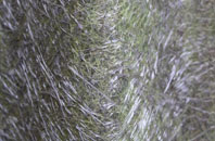 Boston Long Hedges fibreglass roof work